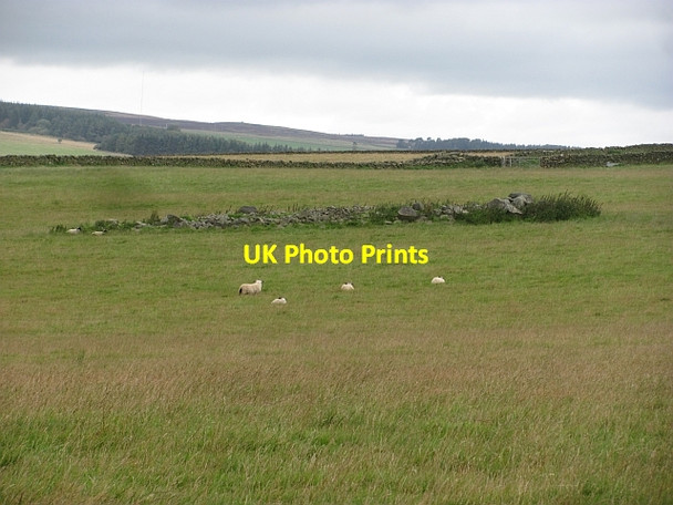 Photo 6"x4" A clearance cairn Jeaniefield c2011