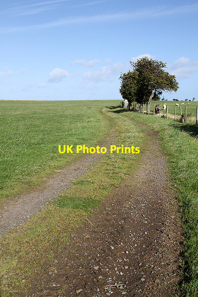 Photo 6"x4" A public bridleway at Elwick Farm Elwick\/NU1136 c2011