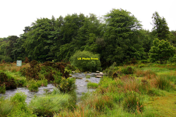 Photo 6"x4" The East Dart River Bellever c2011