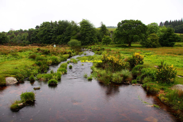 Photo 6"x4" The East Dart River Bellever c2011 P1