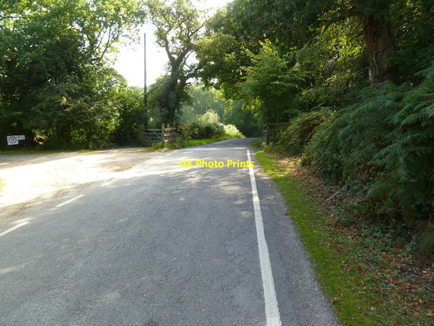 Photo 6"x4" Blackwell Common, cattle grid Exbury c2011