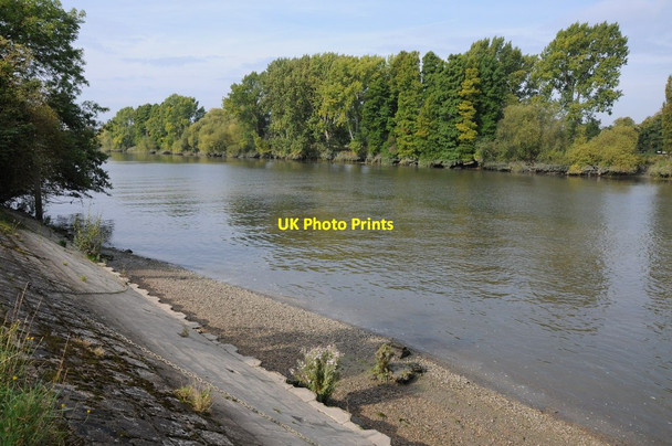 Photo 6"x4" The Thames at Kew Brentford c2011