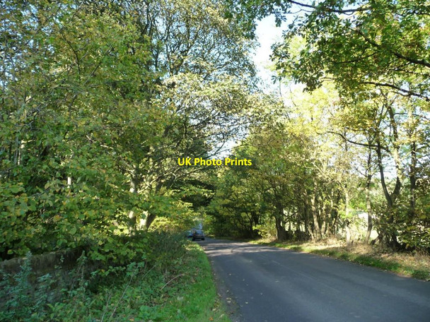 Photo 6"x4" Upper Field Lane High Hoyland c2011