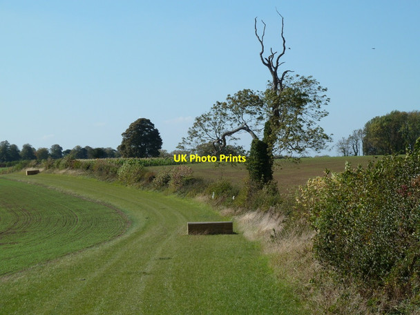 Photo 6"x4" Footpath on the line of Coltsworth Lane Barlborough c2011