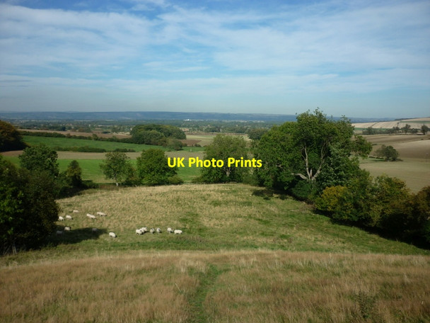 Photo 6"x4" Looking across Thorpe Bassett Wold Scagglethorpe c2011