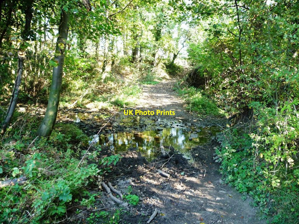 Photo 6"x4" Bridleway fording Ochre Dike Nether End\/SE2407 c2011