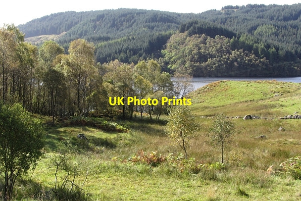 Photo 6"x4" Wetland, Glen Finglas Brig o' Turk c2011