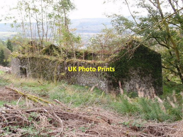 Photo 6"x4" Ffarm Blaen Nant Meurig \/ Blaen Nant Meurig Farm Crynant\/Creunant\/SN7905 c2011