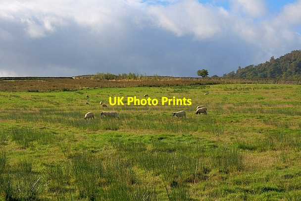 Photo 6"x4" Brownhow Hill Beckces c2011