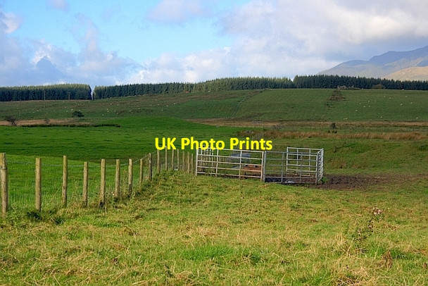 Photo 6"x4" Pasture Adjacent Swinscales Beck Beckces c2011