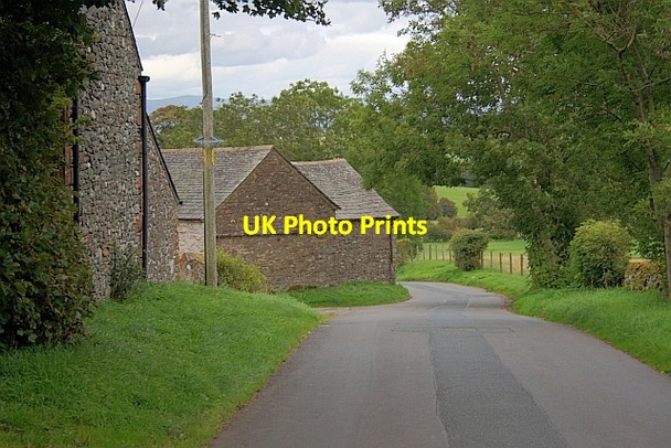 Photo 6"x4" Lane at Souland Gate Soulby\/NY4625 c2011