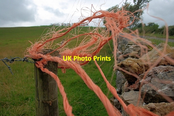 Photo 6"x4" Twine on Fence Post Sleagill c2011