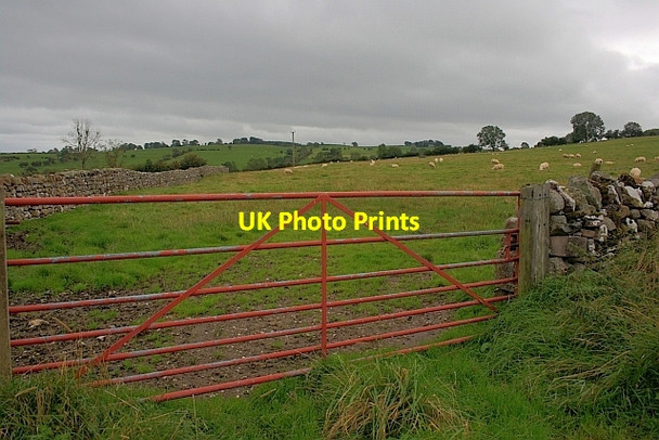 Photo 6"x4" Gate into Field, Sleagill Head Sleagill c2011