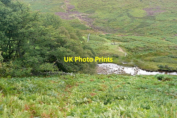 Photo 6"x4" Down to the stepping stones Goathland c2011