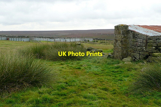Photo 6"x4" Sheep pens on the moors Hazel Head\/SE8099 c2011