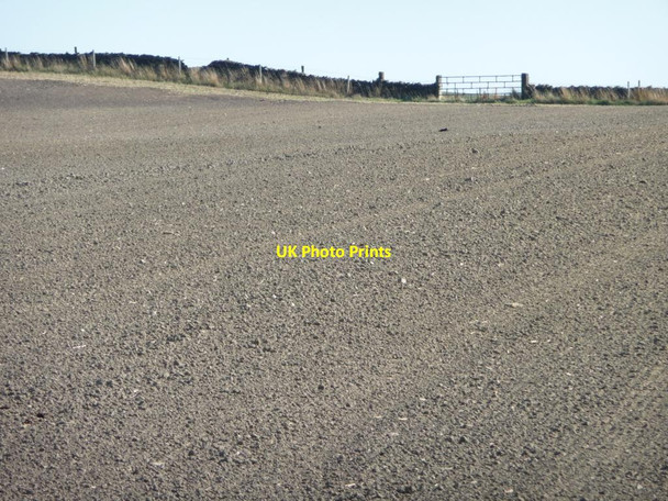 Photo 6"x4" Footpath to Wood Royd, across Gadding Moor South Lane\/SE2606 c2011