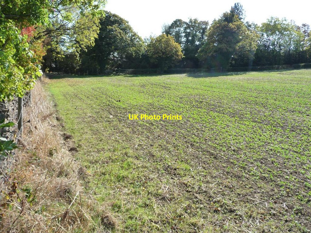 Photo 6"x4" Eastern edge of greening field Raw Green c2011