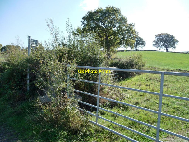 Photo 6"x4" Footpath sign, Lane Head Road Raw Green c2011