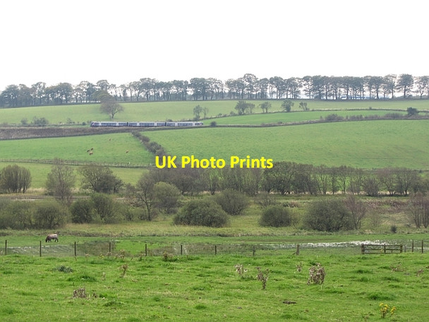 Photo 6"x4" Wetland by the Bonny Water Castlecary c2011