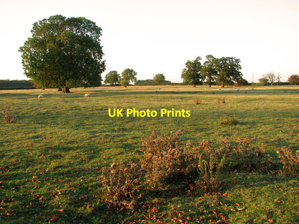 Photo 6"x4" Sheep pasture west of Asgarby St Andrew's church Asgarby\/TF1145 c2011