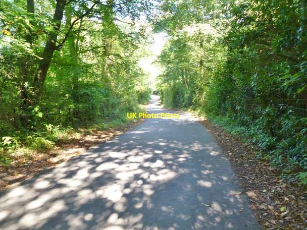 Photo 6"x4" Bank, Pinkney Lane Bank\/SU2807 c2011