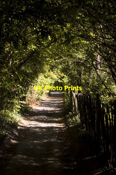 Photo 6"x4" North Downs Way, near Westwell, Kent Dunn Street\/TQ9948 c2011