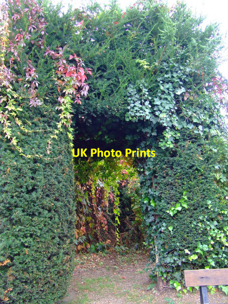 Photo 6"x4" Gunnersbury Park Acton\/TQ2080 c2011