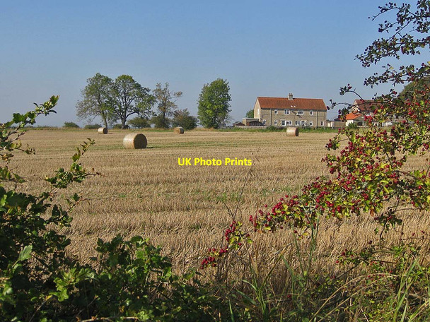 Photo 6"x4" Bales awaiting collection, south of Appleton-le-Moors Appleton-le-Moors c2011