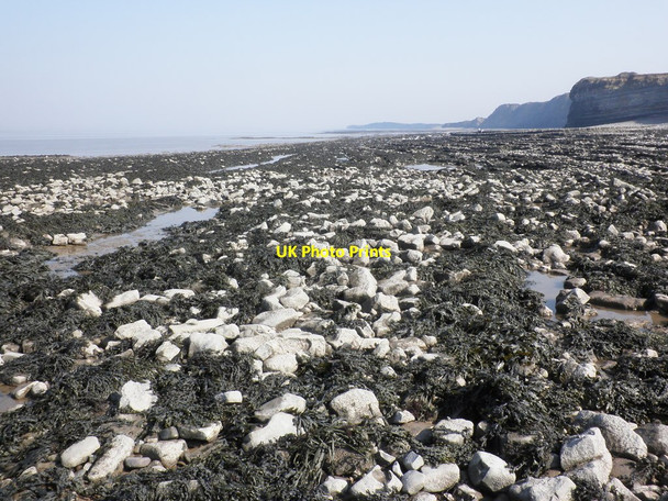 Photo 6"x4" The seaweed belt, St Audrie's Bay Amitabha Buddhist Centre c2011
