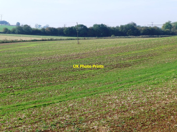 Photo 6"x4" Greening field south of Sleep Hill Lane Skelbrooke c2011