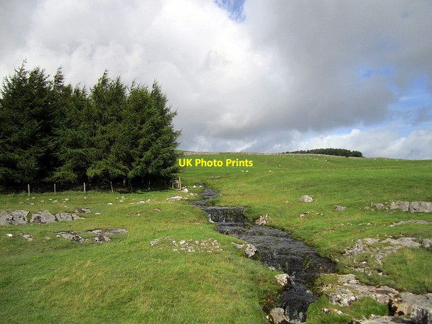 Photo 6"x4" Branch of Thoragill Beck above the road Water Houses\/SD8867 c2011