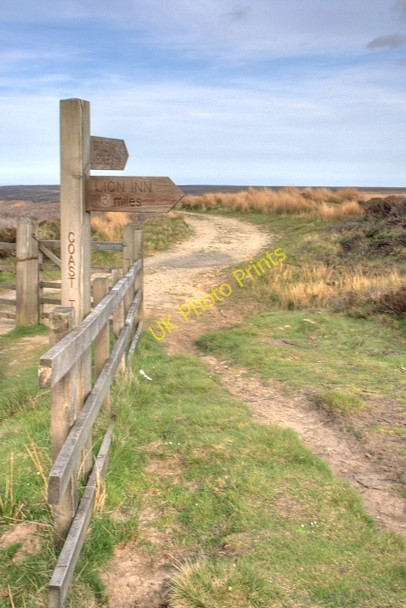 Photo 6"x4" Track to Trough House Trough Ho\/NZ7001 c2008