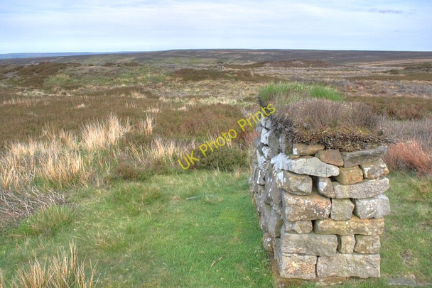 Photo 6"x4" Line of Grouse Butts North of Trough House Street\/NZ7304 c2008