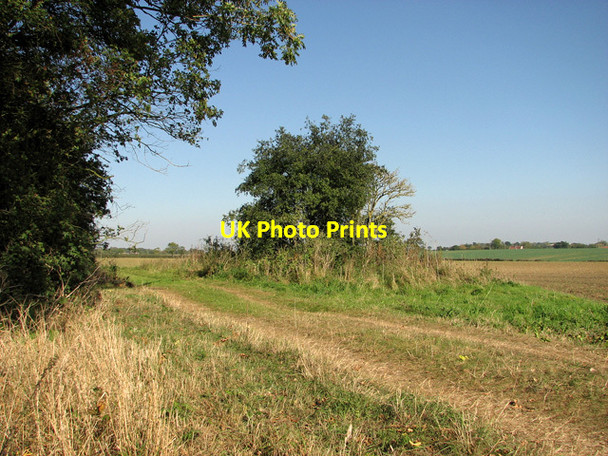 Photo 6"x4" Footpath along the eastern edge of Parham Wood, Parham Framlingham c2011