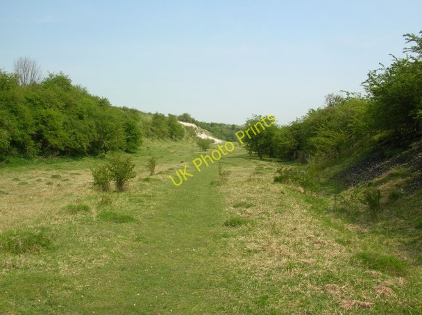 Photo 6"x4" Disused chalk quarry Goodmanham c2008