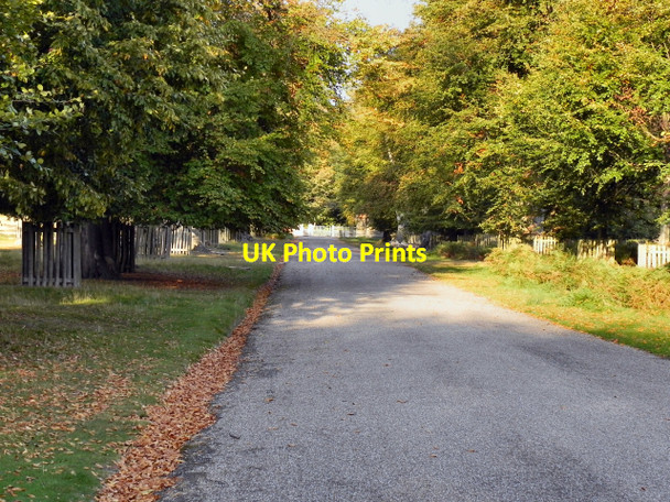 Photo 6"x4" Dunham Park, Main Drive Altrincham c2011