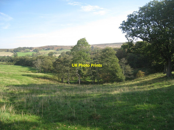 Photo 6"x4" Alongside Whyett Beck Westerdale\/NZ6605 c2011