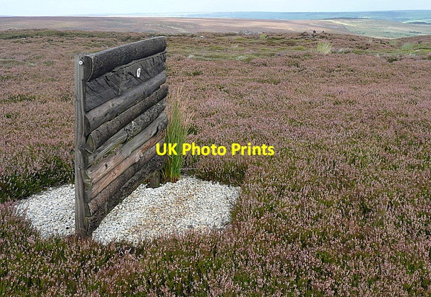 Photo 6"x4" Grouse butts on Pike Hill Glaisdale\/NZ7705 c2011