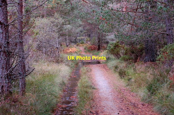 Photo 6"x4" Track above Milton Dalfaber c2011