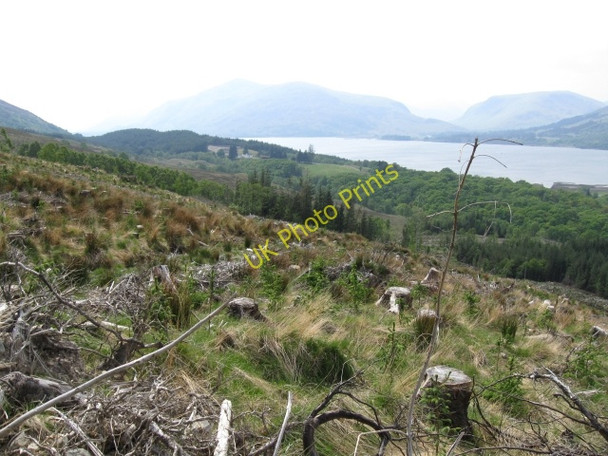 Photo 6"x4" Felled Forest with Loch Linnhe in distance & Coruanan Farmhouse Blarmachfoldach c2008