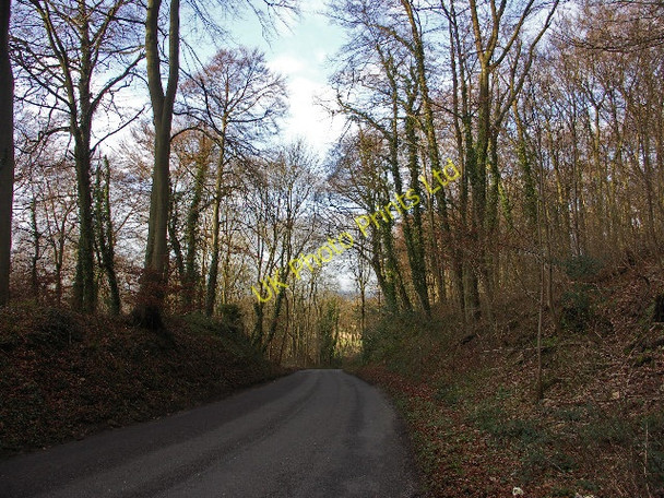 Photo 6"x4" Kingston Hill Crowell Hill c2006