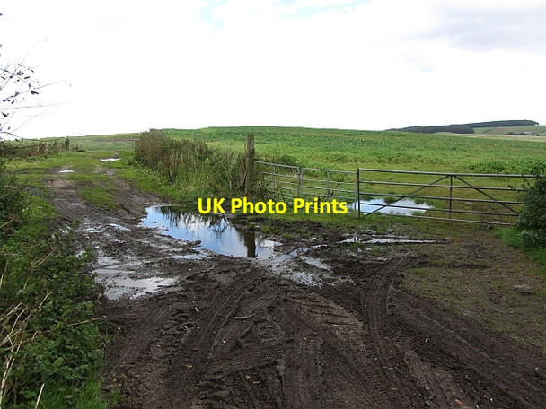 Photo 6"x4" Field access track, Fallhills Penicuik c2011