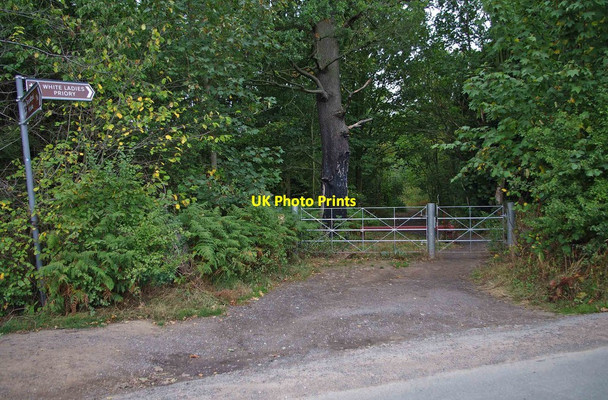 Photo 6"x4" Public footpath off Shackerley Lane Renshaw Wood c2011