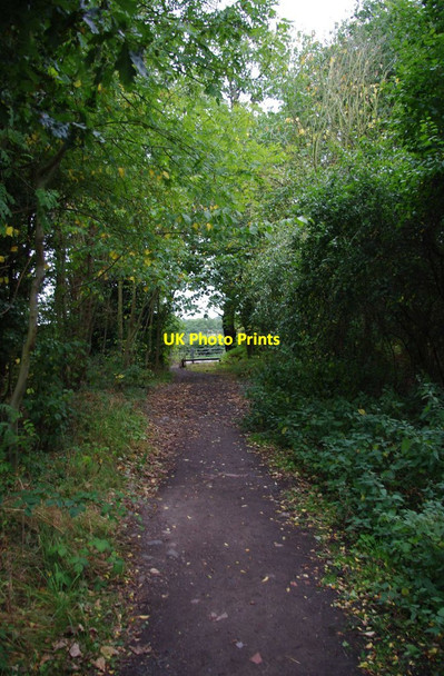 Photo 6"x4" Public footpath to Shackerley Lane Renshaw Wood c2011