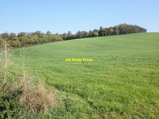 Photo 6"x4" Carhampton Knapp Carhampton c2011