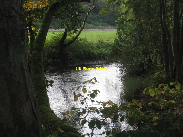 Photo 6"x4" The River Rye Rievaulx c2011