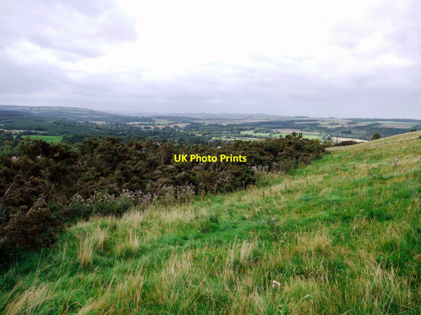 Photo 6"x4" Mickley Common Painshawfield c2011