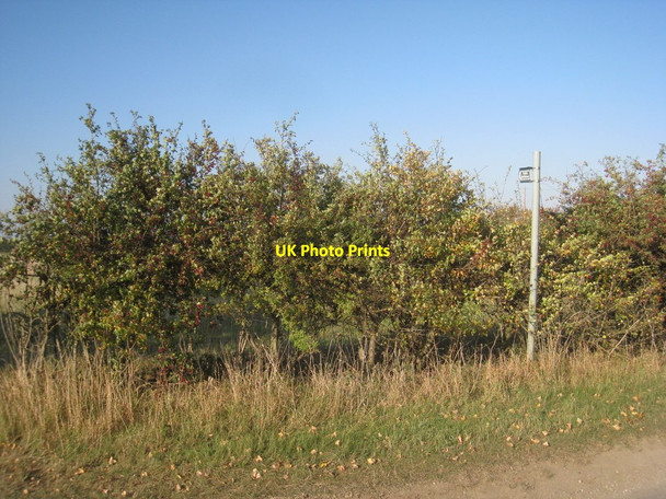 Photo 6"x4" Signpost at the beginning of the bridleway to Glentworth Grange Fillingham c2011