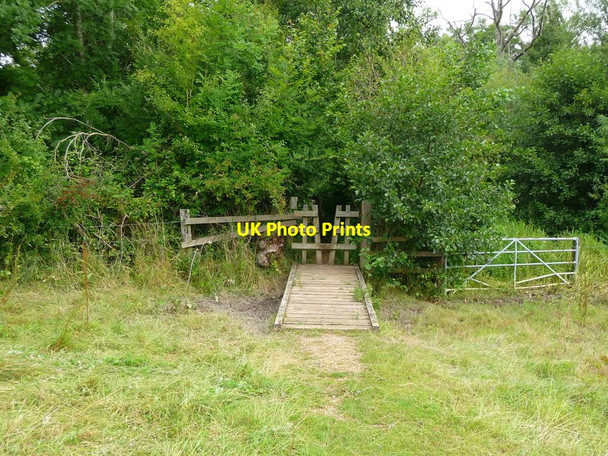 Photo 6"x4" Wonston - Footpath Wonston\/SU4739 c2011