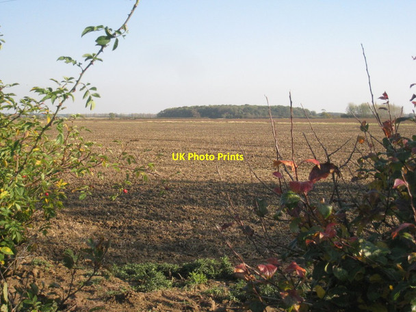 Photo 6"x4" View towards New Plantation Coates\/SK9183 c2011